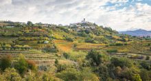 Vinhos Bebidas Europa Eslovênia Turismo