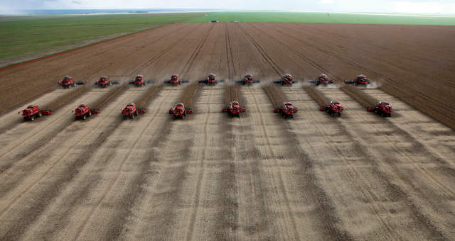 Soja Agronegócio