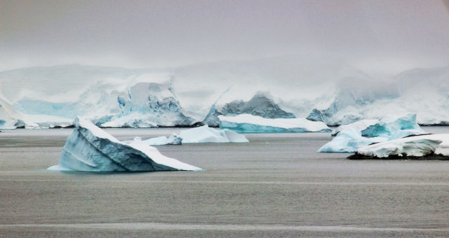 icebergs