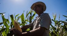 Agricultura