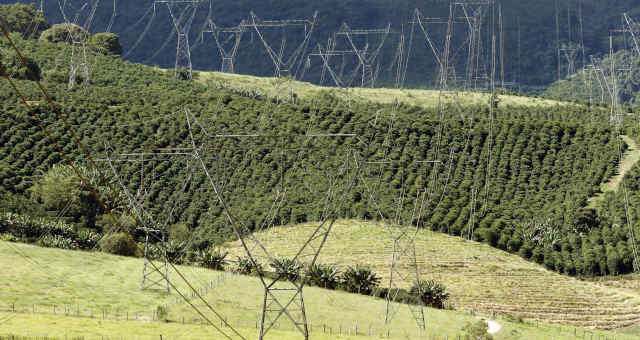 Área de cultivo de café