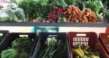 Verduras Veganos