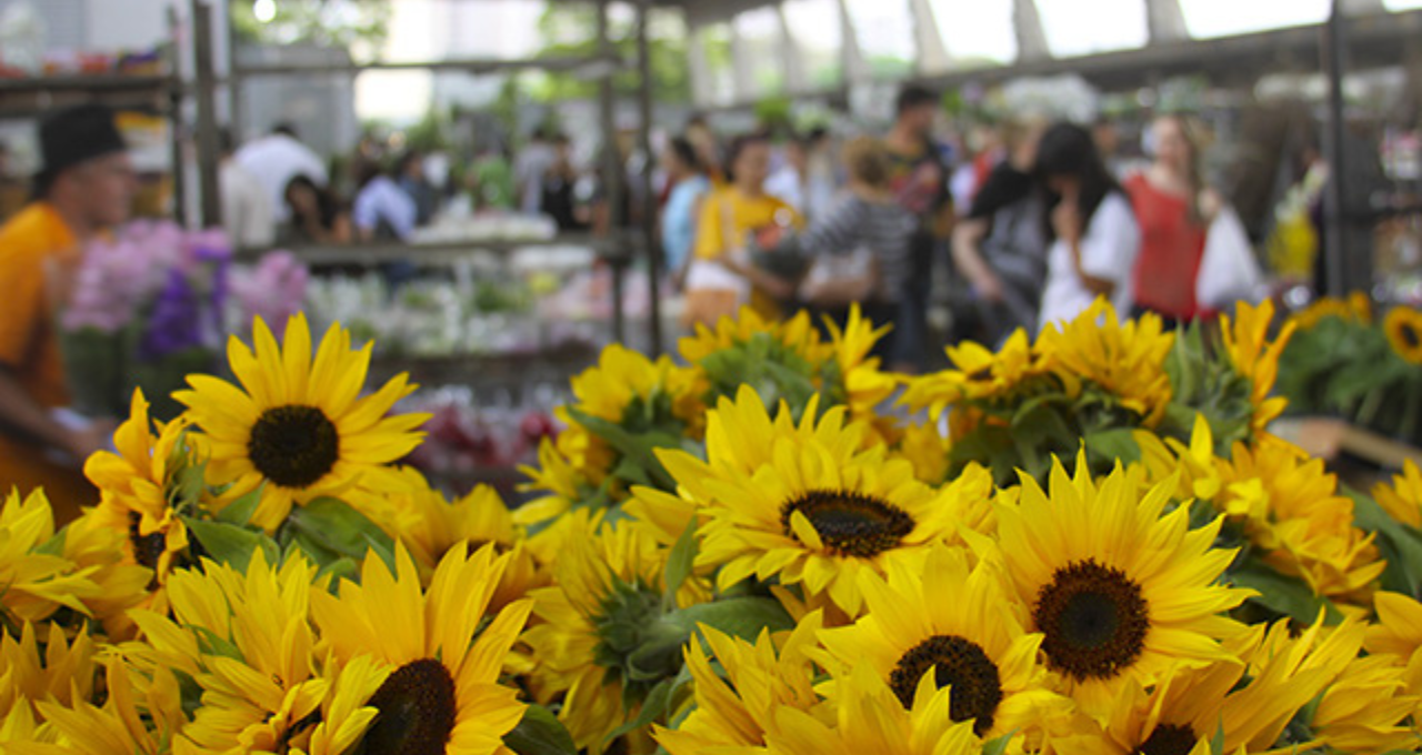 Feira de Flores