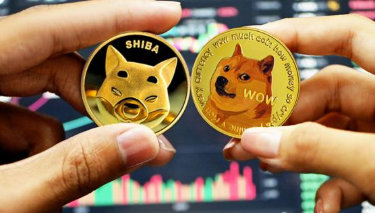 Criptomoedas: Conheça o copy trade inédito de memecoins da Empiricus