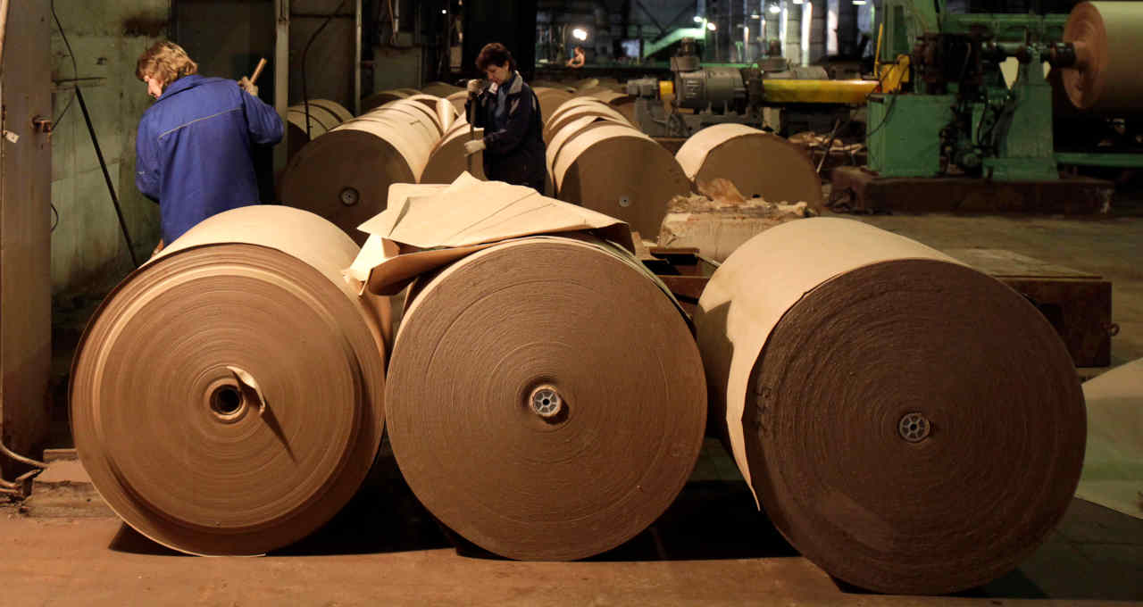 Suzano, SUZB3, Celulose, Agronegócio, Swing Trade