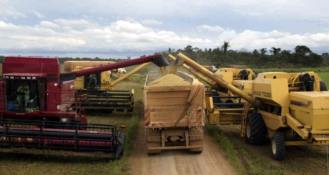 swing trade agro bradesco