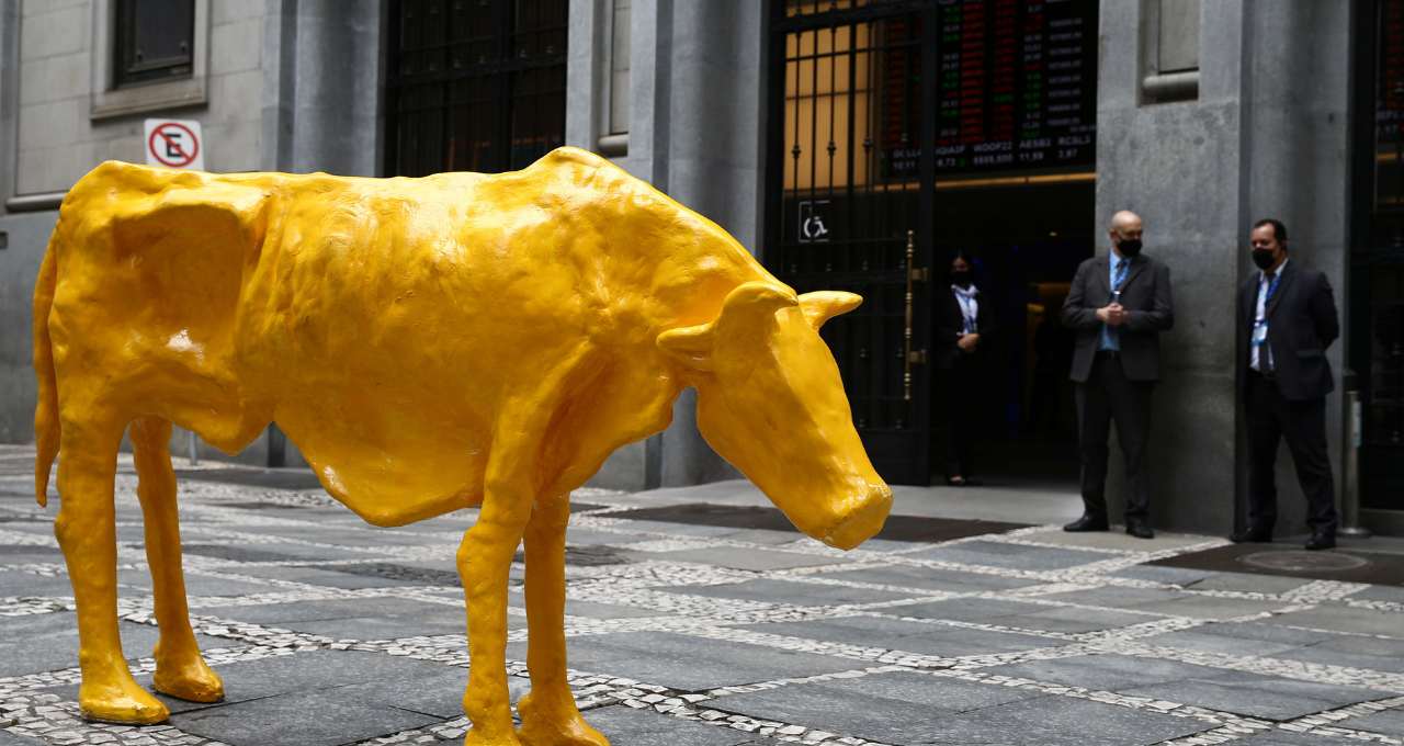 Bolsa