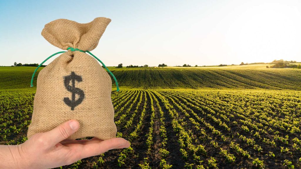 fiagros fiis fundos imobiliários agronegócio