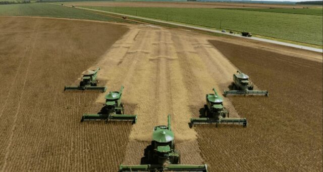 Dividendos: Empiricus Research inclui SLC Agrícola (SLCE3) em carteira para junho; veja seleção