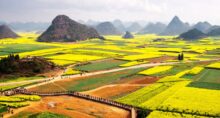 agronegócio china (1)