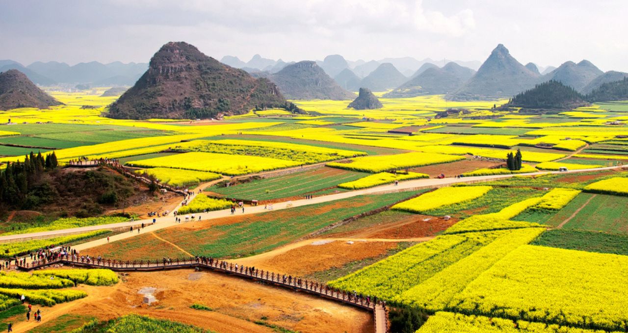 agronegócio china (1)