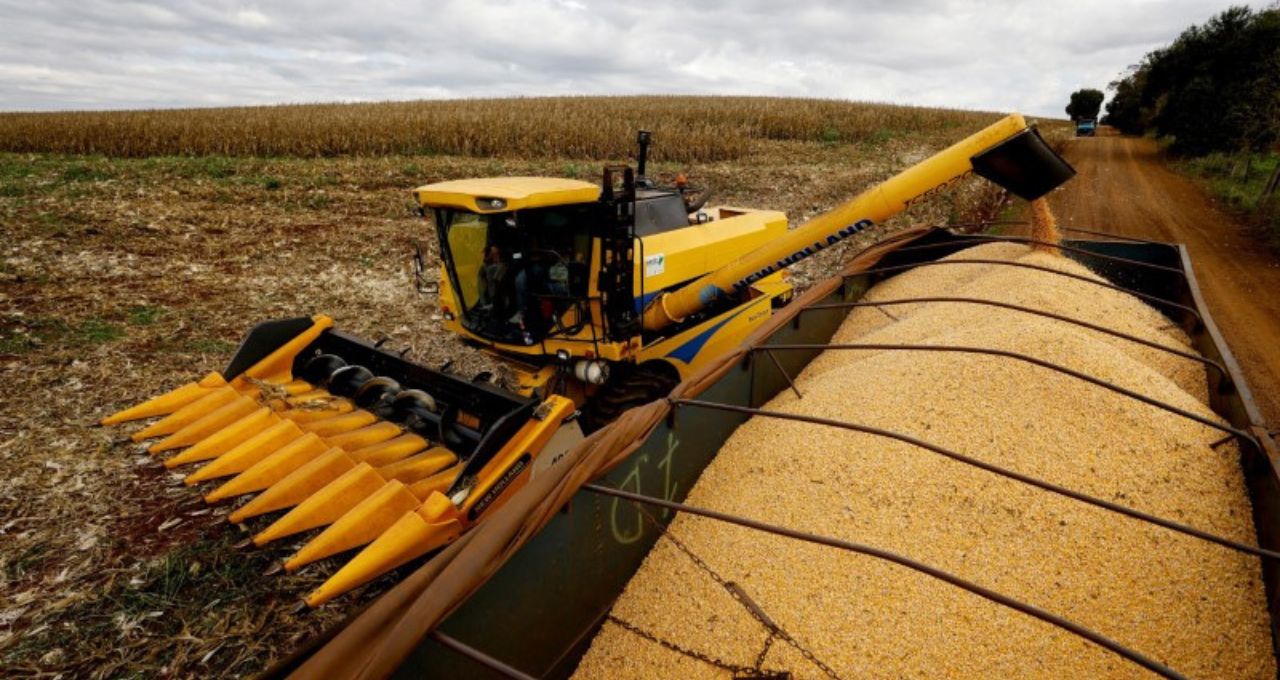 agropecuária pib