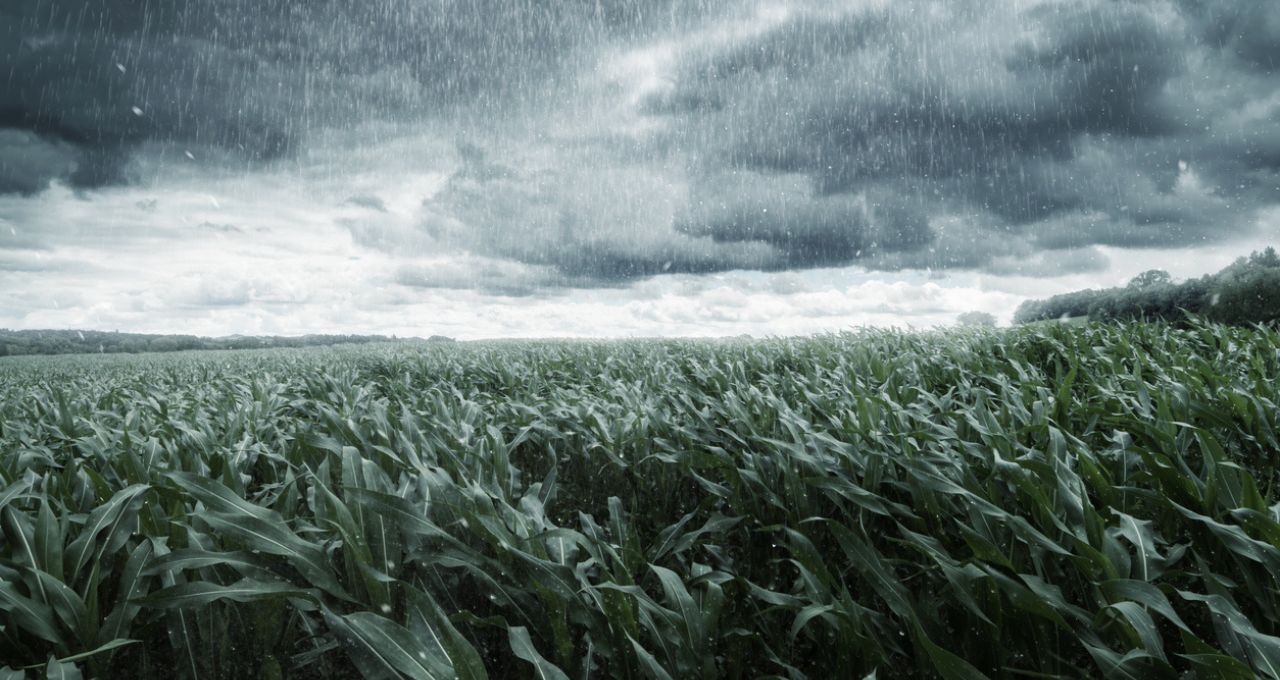 chuvas-clima-colheita-argentina