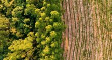 meio-ambiente-licenciamento-ambiental-governo