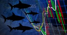 rastreadortubarões ações bolsa day trade ferramenta