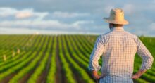 credito-rural-plano-safra-fiscal-juros-agricultura