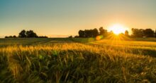 recuperacao-judicial-credito-agronegocio