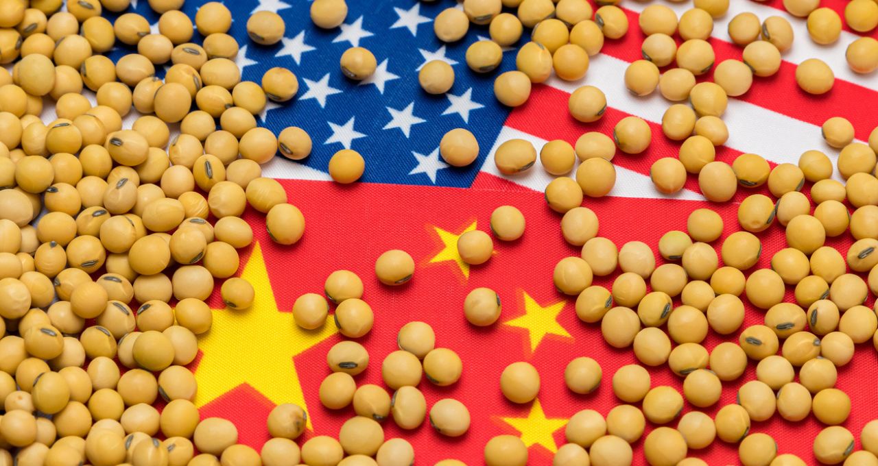 Soja EUA china