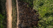 terra queimada incêndios insegurança jurídica (1)