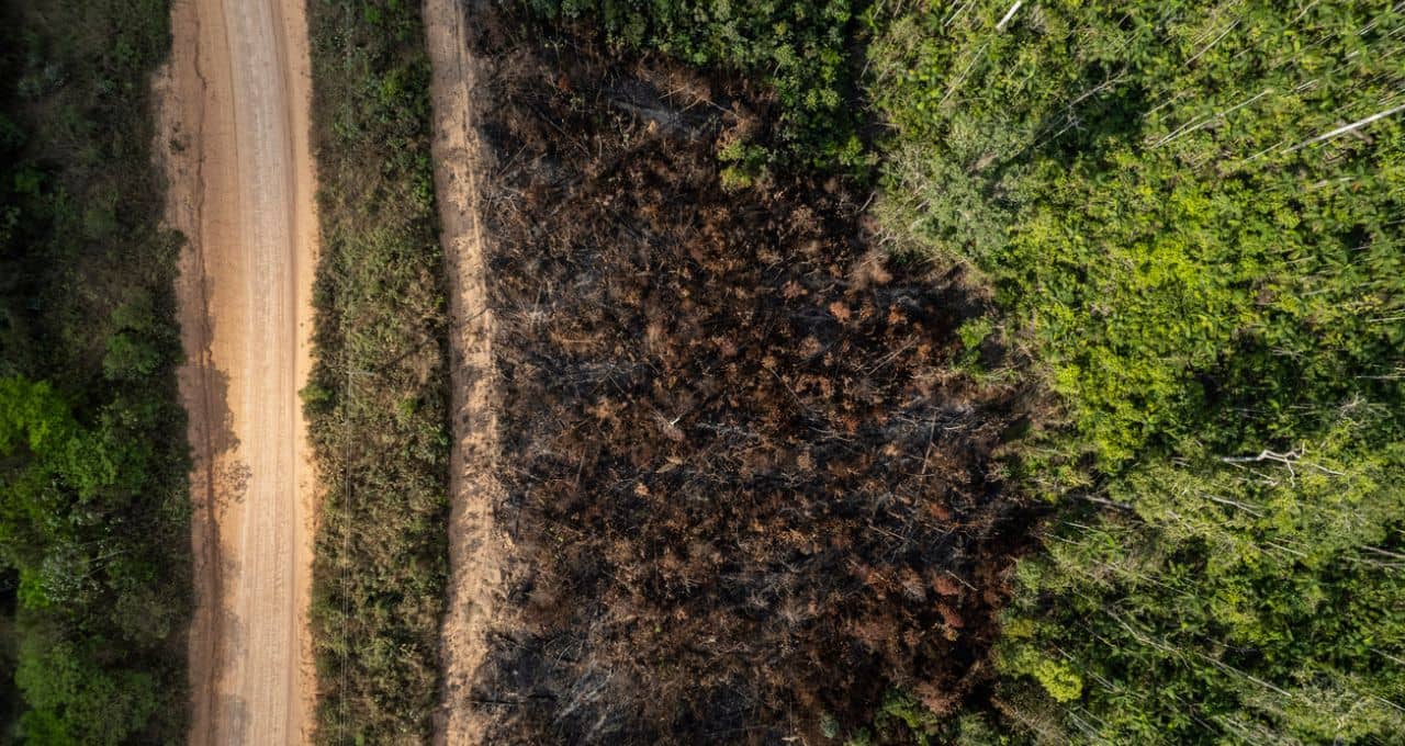 terra queimada incêndios insegurança jurídica (1)