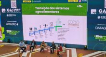 agropecuaria-agricultura-cop30-embrapa