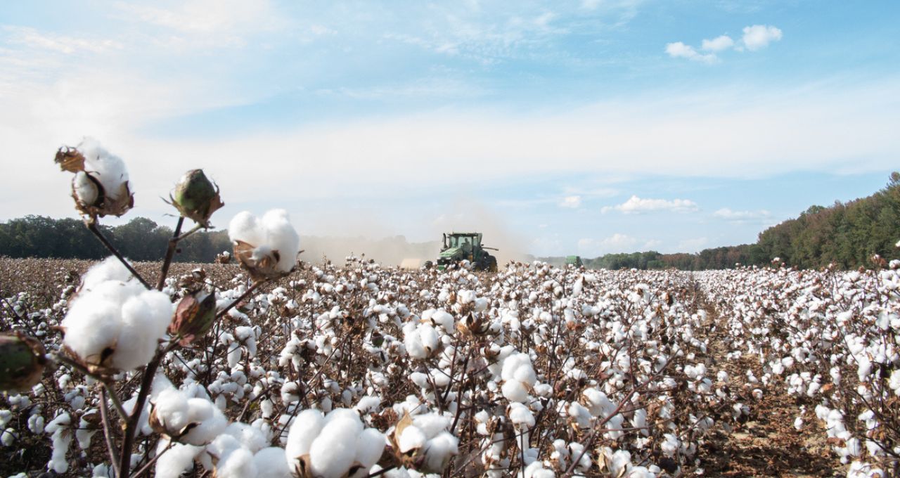 brasilagro agro3