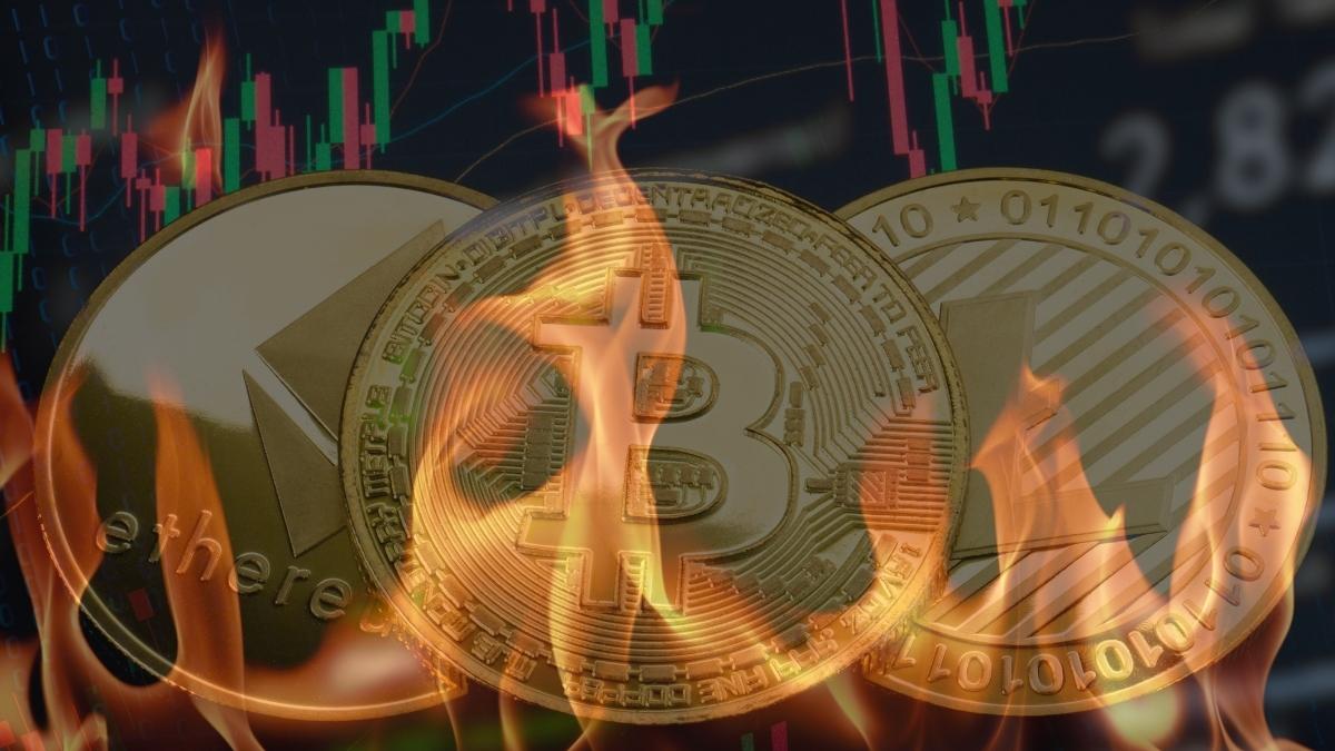 A partir de 30 de junho, algumas das ‘criptomoedas mais arriscadas do mundo’ podem disparar até 300.000%, aponta especialista