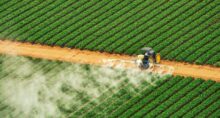 fertilizantes santander ações