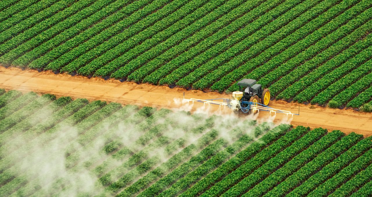 fertilizantes santander ações