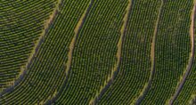 licenciamento ambiental agro (1)