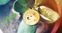 memecoin cripto criptomoedas robô