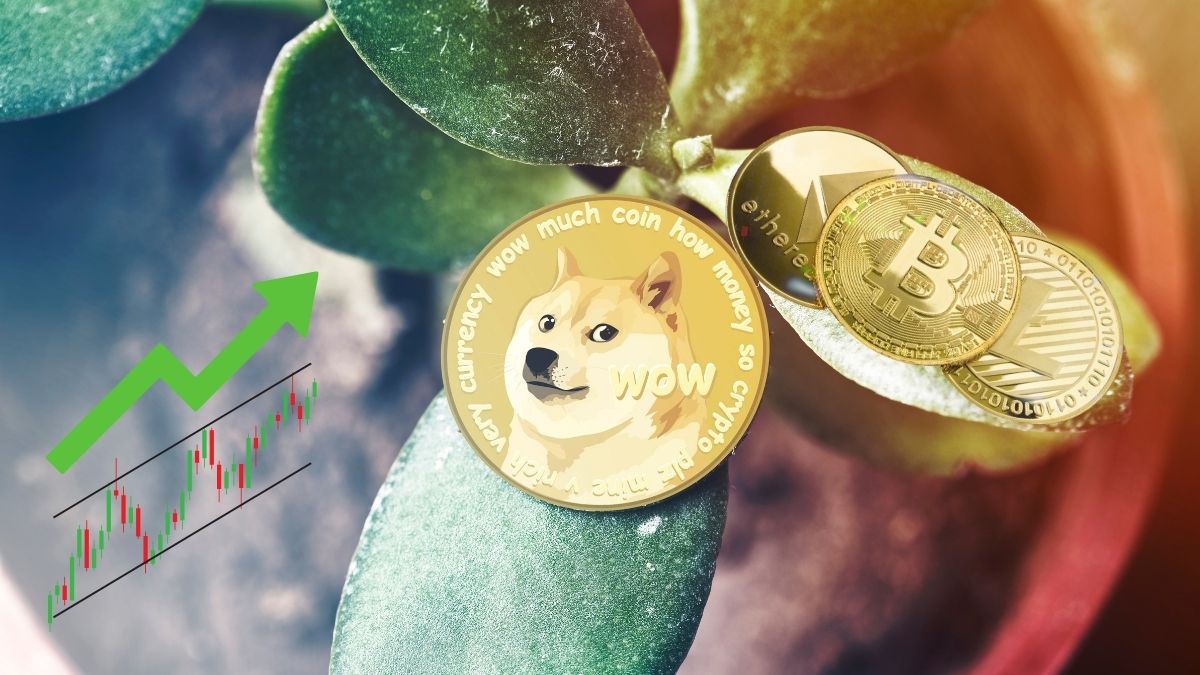 Memecoin faz trader lucrar US$ 1 milhão começando com US$ 200; qual a melhor forma de investir nessas criptomoedas?