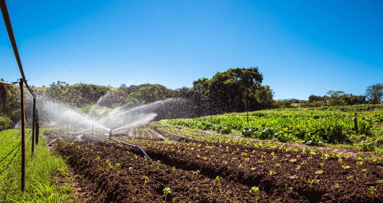plano safra agricultura familiar (2) (1)