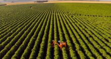 plano-safra-agronegocio-agricultura-governo