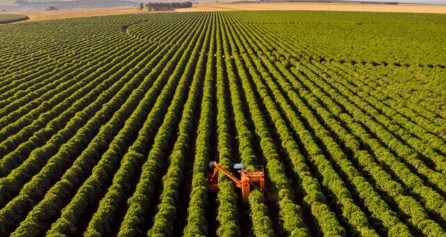 plano-safra-agronegocio-agricultura-governo