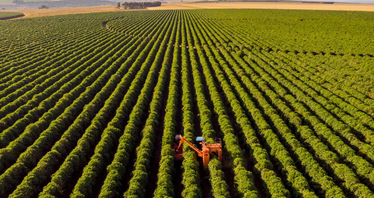 plano-safra-agronegocio-agricultura-governo