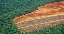 Pl da devastação licenciamento ambiental