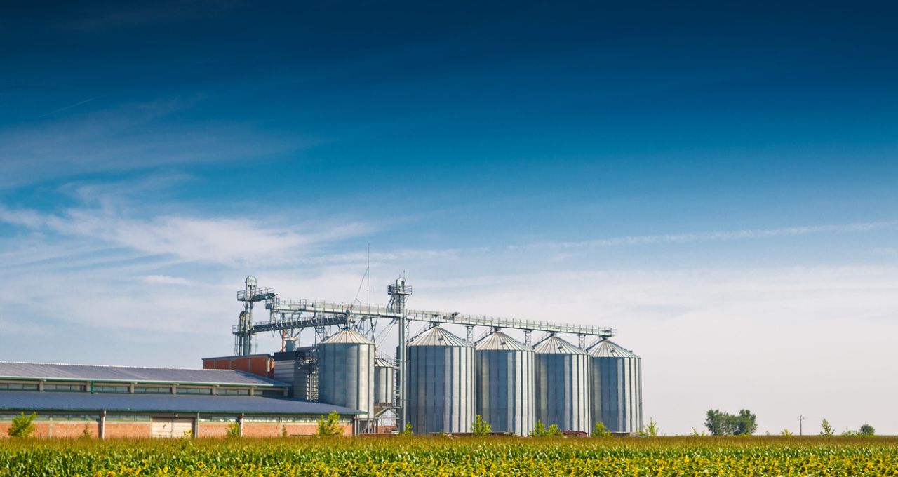 Plano safra agricultura empresarial