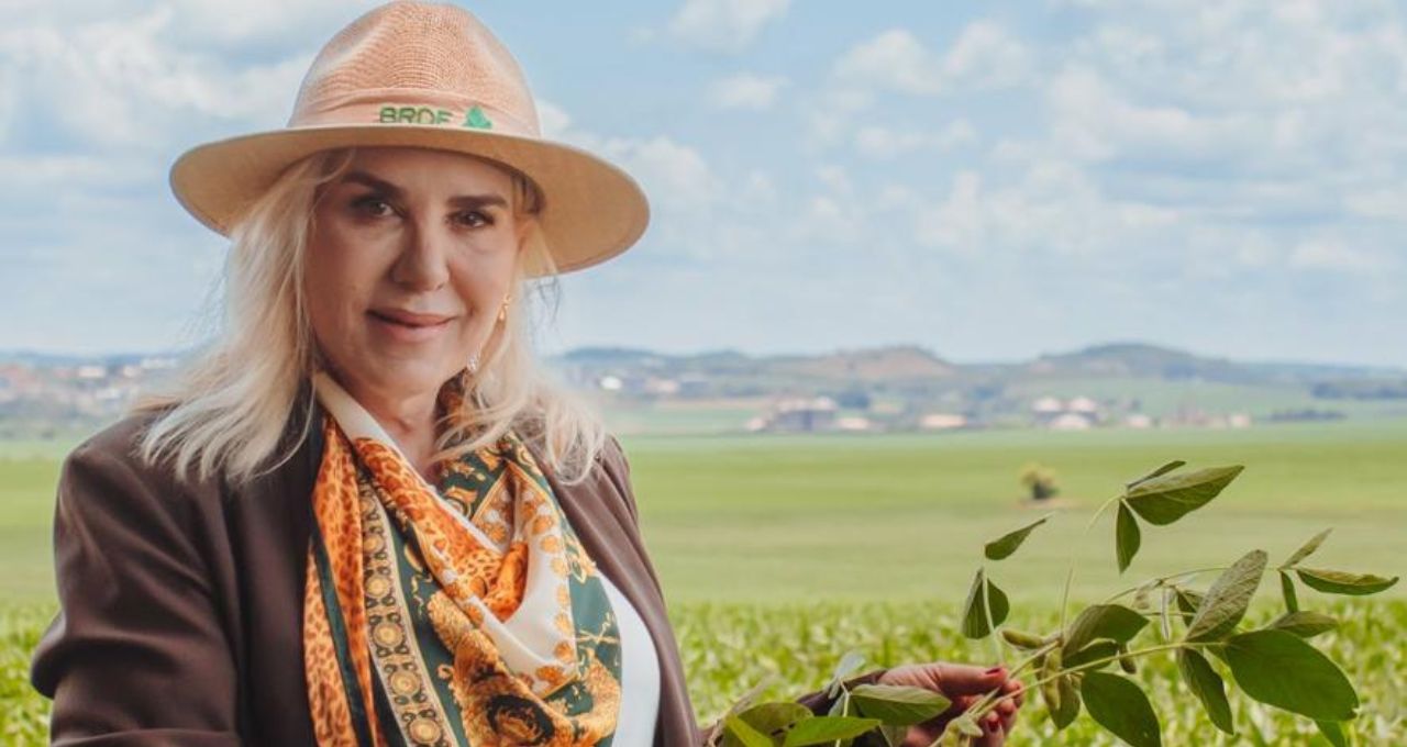 plano safra recuperações judiciais dora zanin