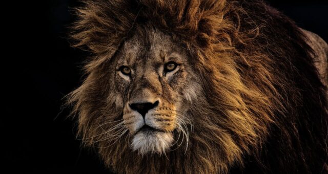 Imposto de Renda 2026: Como declarar contas globais e ativos no exterior sob a nova 'Lei das Offshores'