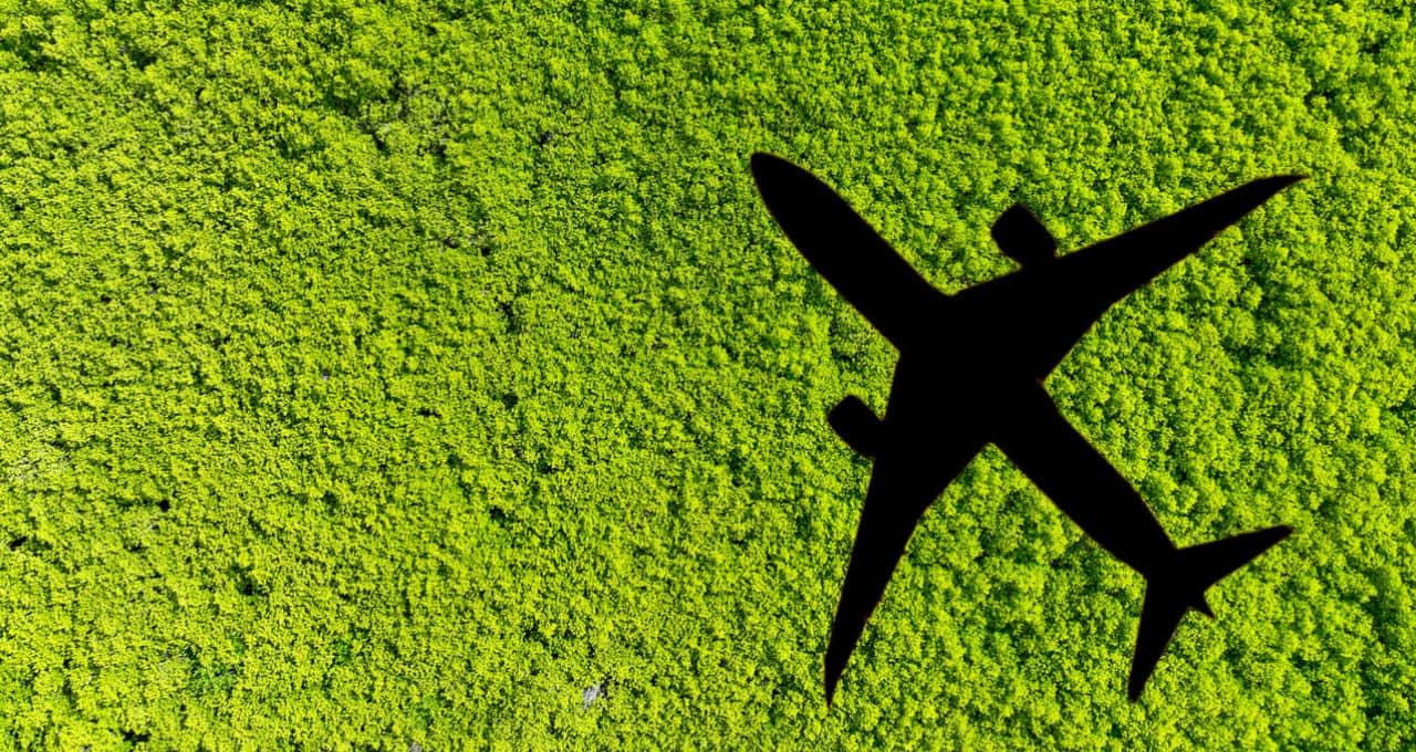 SAF Raízen biocombustíveis aviação (1)