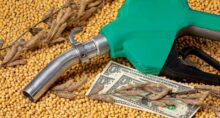 Soja biodiesel