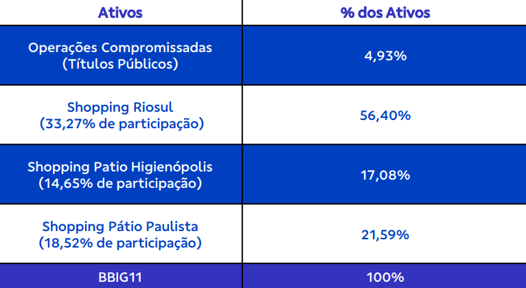 Composição da Carteira BBIG11