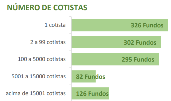 Número de cotistas FIIs