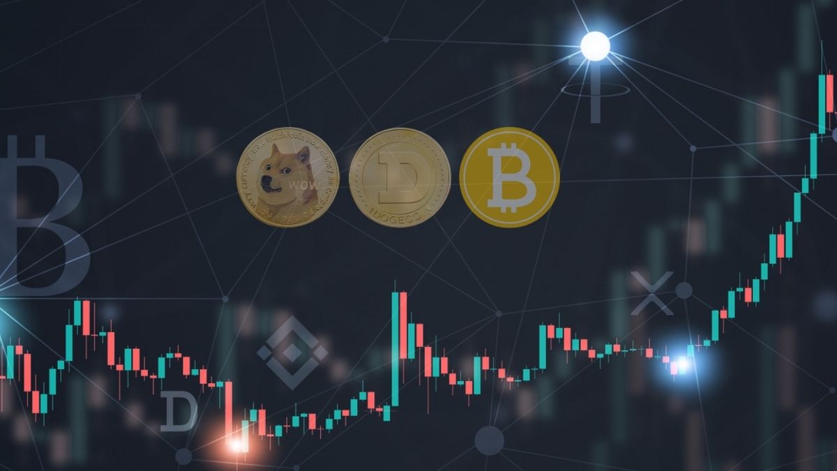 Bitcoin ainda pode subir 800%, mas outras criptomoedas têm potencial de até 30.000%; entenda