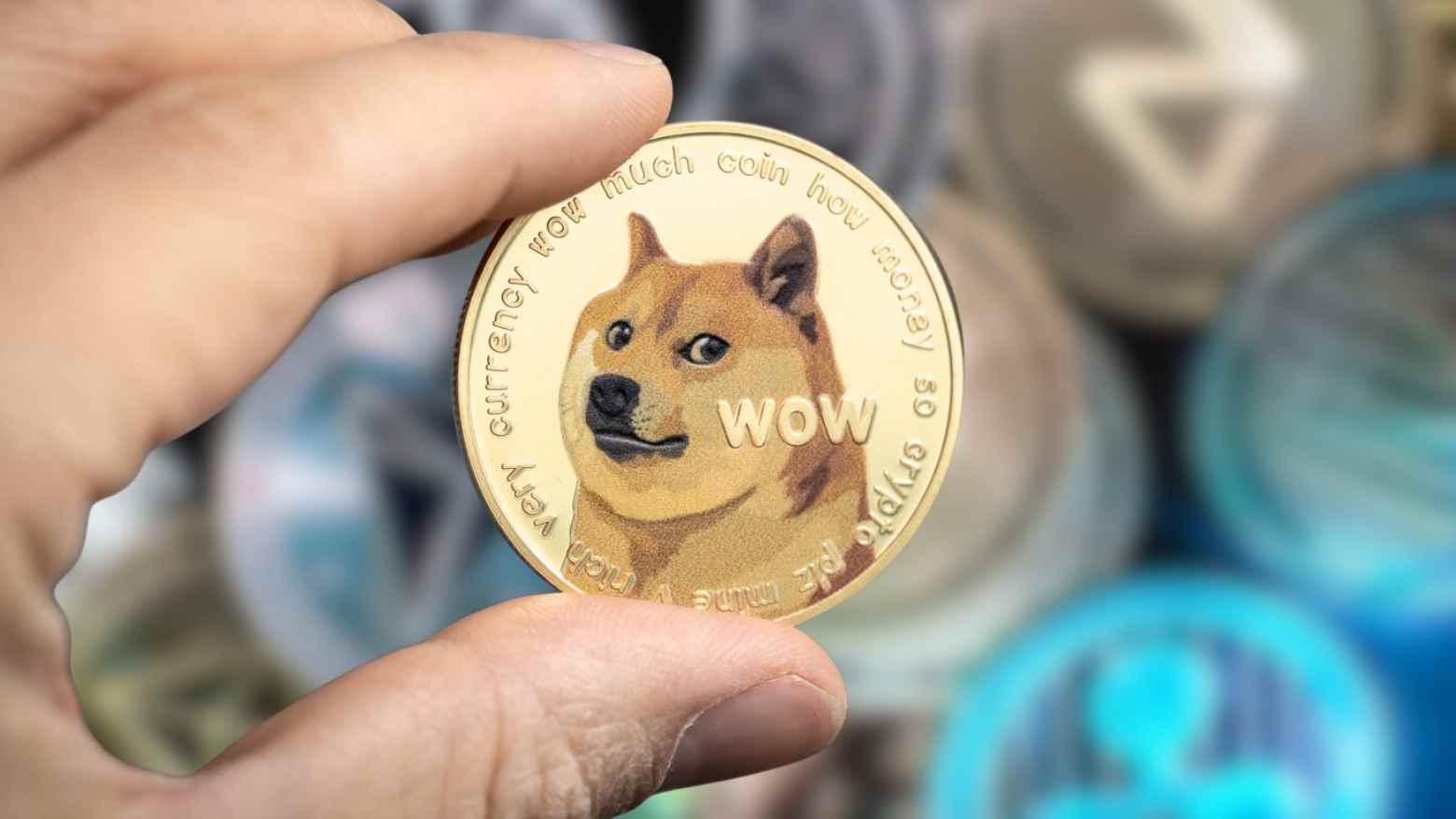 Empiricus lança tecnologia exclusiva para ‘caçar’ as memecoins mais promissoras do mercado de criptomoedas