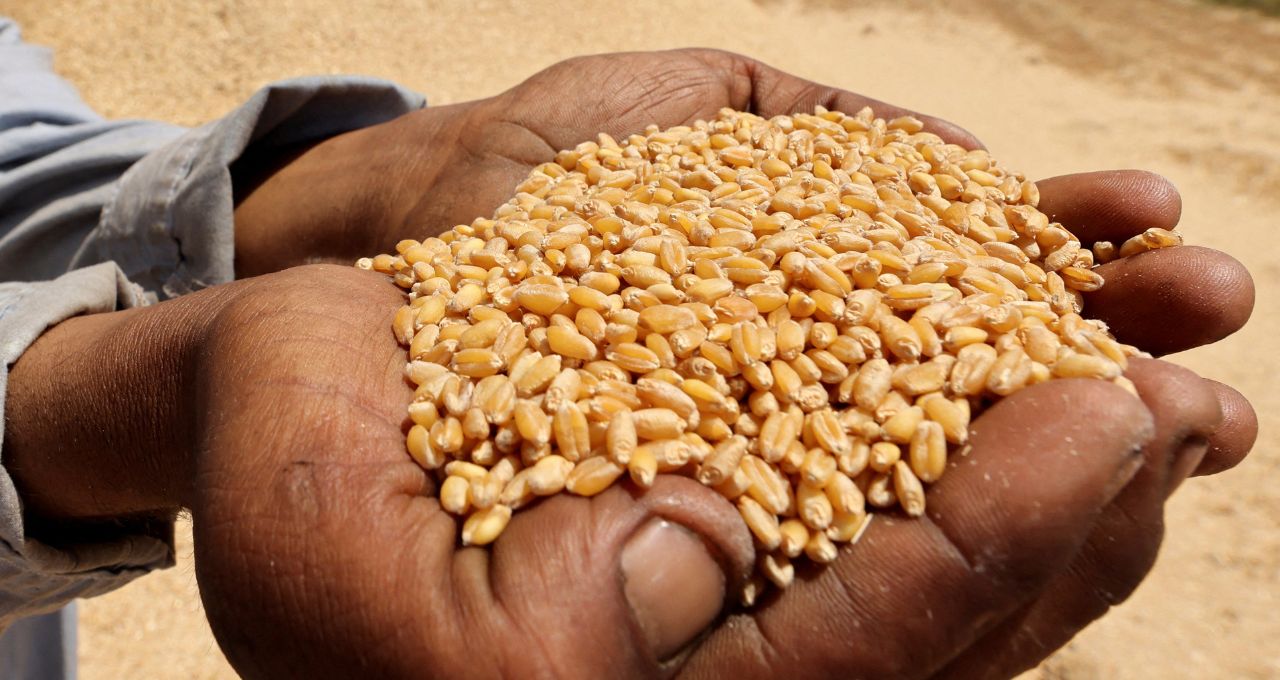 alimentos fao
