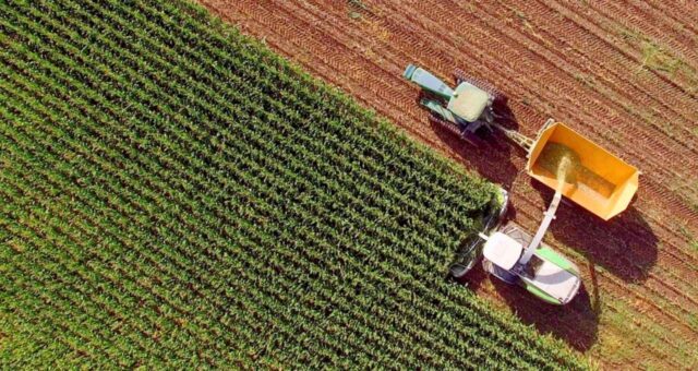 etanol combustíveis btg pactual (2)