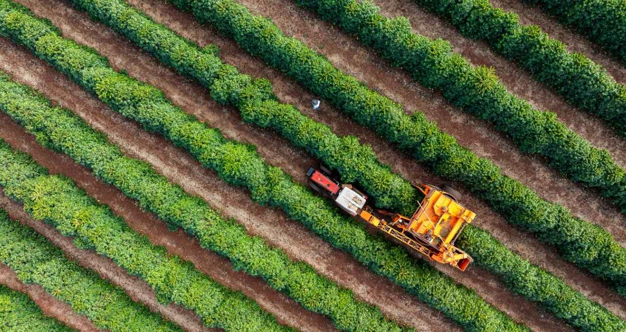 Fiagro fundos cartão de crédito crédito (2)