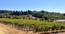 vinho chianti classico (2)